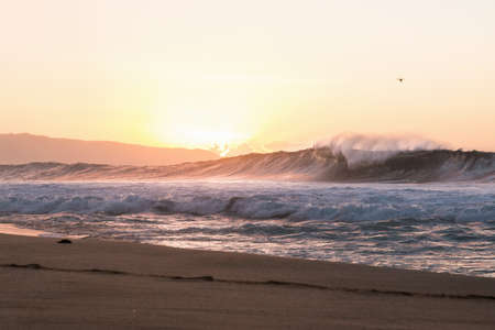 Seascape with rolling waves at sunset, Haleakala, Hawaii, USA