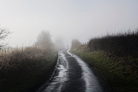 Misty countryside landscapeの写真素材