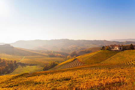 Landscape view with autumn vineyards and hill village, Langhe, Piedmont, Italy