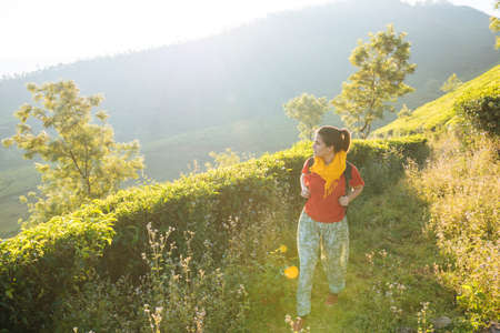 Young woman walking among tea plantations near Munnar, Kerala, Indiaの写真素材