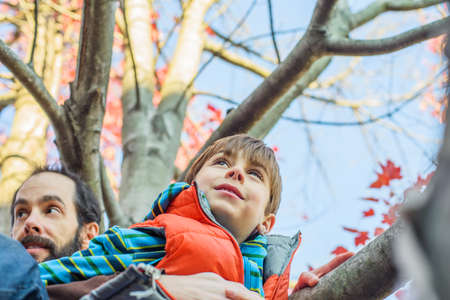 Father and son climbing tree