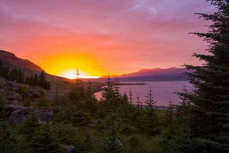 View through trees of orange colour sunset over water, Icelandの写真素材