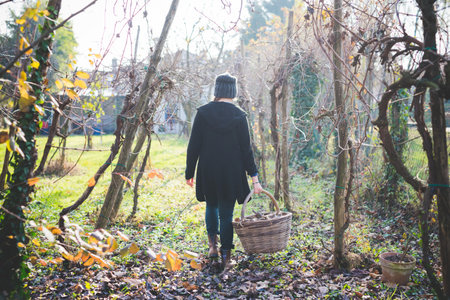 Full length rear view of young woman in garden walking among trees carrying wickerwork basketの写真素材