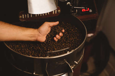 Man holding roasted coffee beans