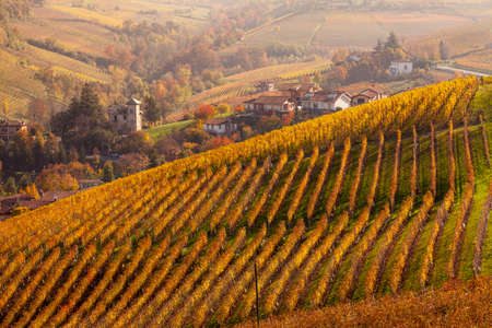 Elevated view of autumn vineyards and village, Langhe, Piedmont, Italyの写真素材