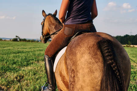 Rear view of woman riding bay horse in field