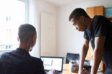 Twin brothers at home, looking at laptop