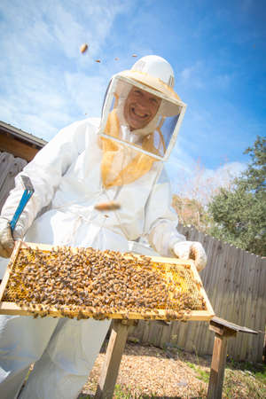 Portrait of beekeeper holding hive frame with bees