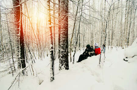 Couple sitting in snowy forest, watching sunset, Russiaの写真素材