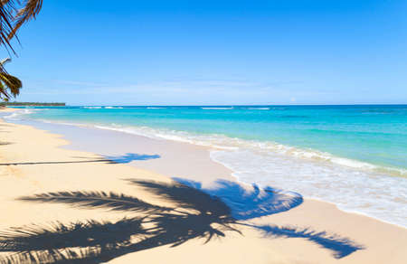 Palm tree shadow on beach, Dominican Republic, The Caribbeanの写真素材