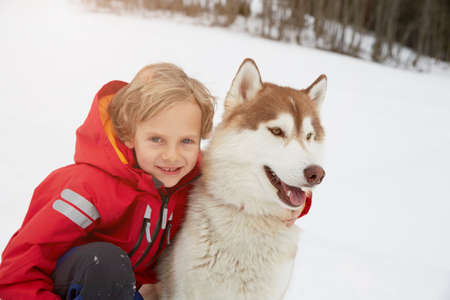 Portrait of boy and husky in snow, Elmau, Bavaria, Germanyの写真素材