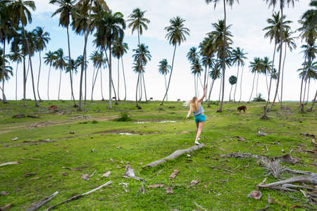 Young woman balancing on fallen tree trunk amongst palms, Dominican Republic, The Caribbeanの写真素材