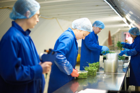 Workers on production line wearing hair nets packaging vegetables