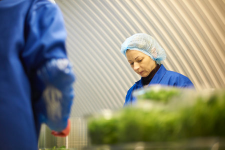 Woman wearing hair net working on production lineの写真素材