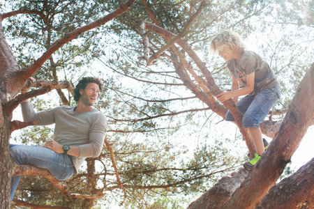Father and son climbing treeの写真素材