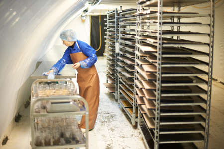 Female worker cleaning table in underground tunnel nursery, London, UKの写真素材