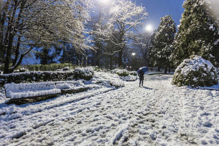 Woman walking on snow covered landscape in the eveningの写真素材
