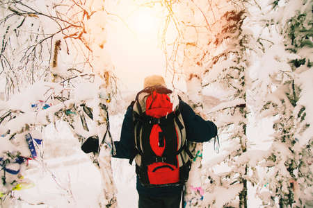 Rear view of man carrying backpack in snow covered forestの写真素材