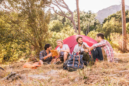 Four male friends chatting in forest camp, Deer Park, Cape Town, South Africaの写真素材