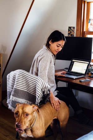 Woman sitting using laptop stroking dogの写真素材