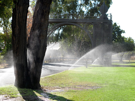 Rows of sprinklers watering park lawnsの写真素材