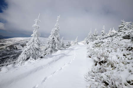 Svidovets Mountain Ridge, Carpathian Mountains, Ivano-Frankovsk Region, Ukraineの写真素材