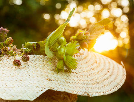 Freshly picked hazelnut and blackberry plants in straw hatの写真素材