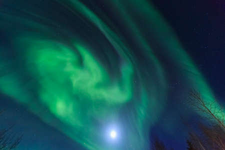 Aurora borealis, Northern Lights near Chena Resort, near Fairbanks, Alaskaの写真素材