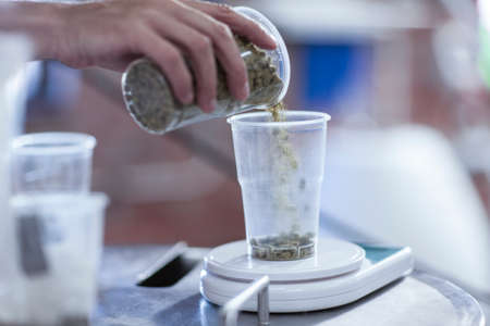 Hand of man weighing grainsの写真素材