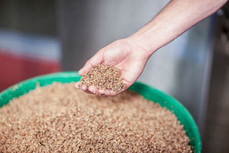 Mans hand holding grains