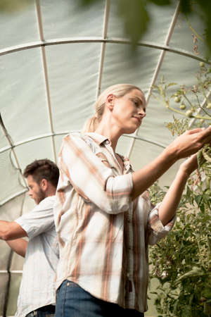 Mature couple tending to plants in greenhouseの写真素材