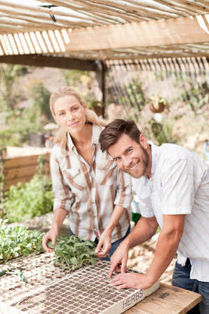 Portrait of mature couple planting seedlings in trayの写真素材
