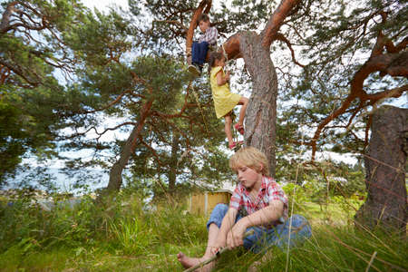Young boy sitting in tree, young girl climbing rope ladder on tree and boy sitting in grassの写真素材