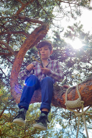 Young boy sitting in tree, sharpening stick with knife