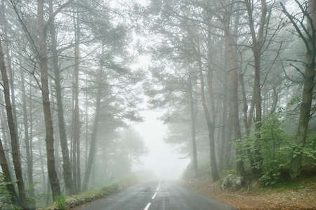 Landscape and misty forest road, Gourdon, Alpes Maritimes, Franceの写真素材