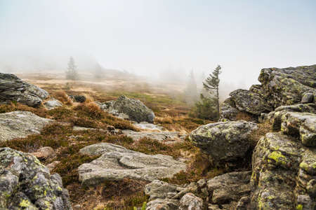 Fog on mountain Arber, Bodenmais, Bavaria, Germanyの写真素材