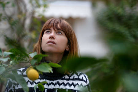 Woman looking up at lemon tree