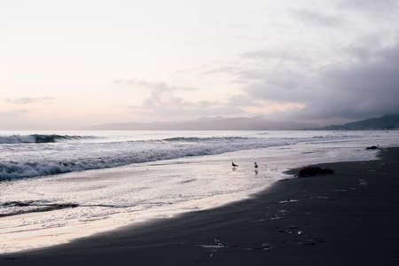 Beach and seascape at dawn, Morro Bay, California, USAの写真素材