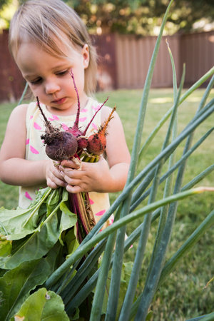 Young girl in garden, holding fresh vegetablesの写真素材