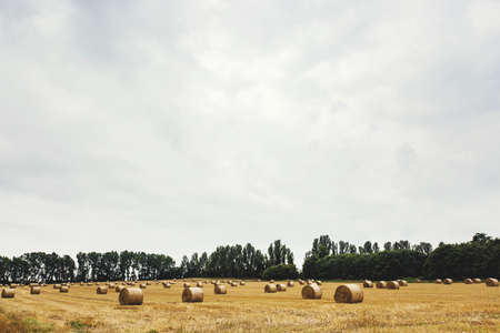 Field with bales of straw, Gillingham, Kent, Englandの写真素材