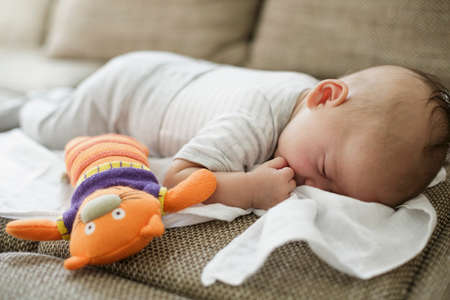 Baby boy asleep on sofa with toy cat