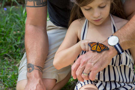 Father and daughter looking at monarch butterflyの写真素材