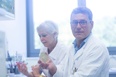 Scientists working in laboratoryの写真素材