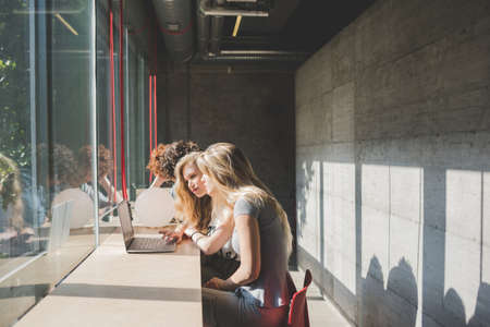 Co-workers working on laptop beside bar counter by window