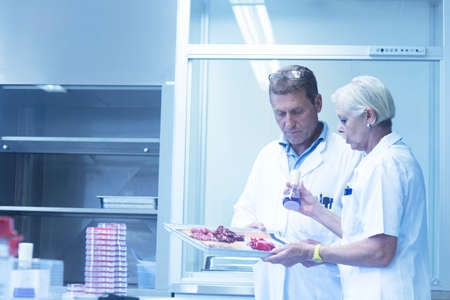 Scientists working in laboratory