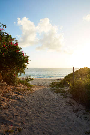 Path to beach, Saint Martin, Caribbeanの写真素材