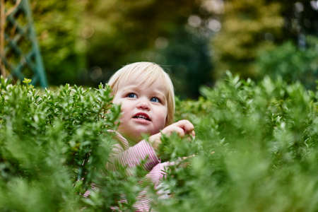 Baby girl surrounded by foliage looking awayの写真素材