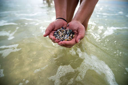 Hands full of seashells from ocean