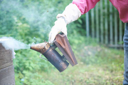 Beekeeper smoking bees in hive, close-upの写真素材