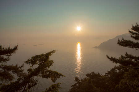 Sunset view on the sea, seen through trees, Busan, Koreaの写真素材